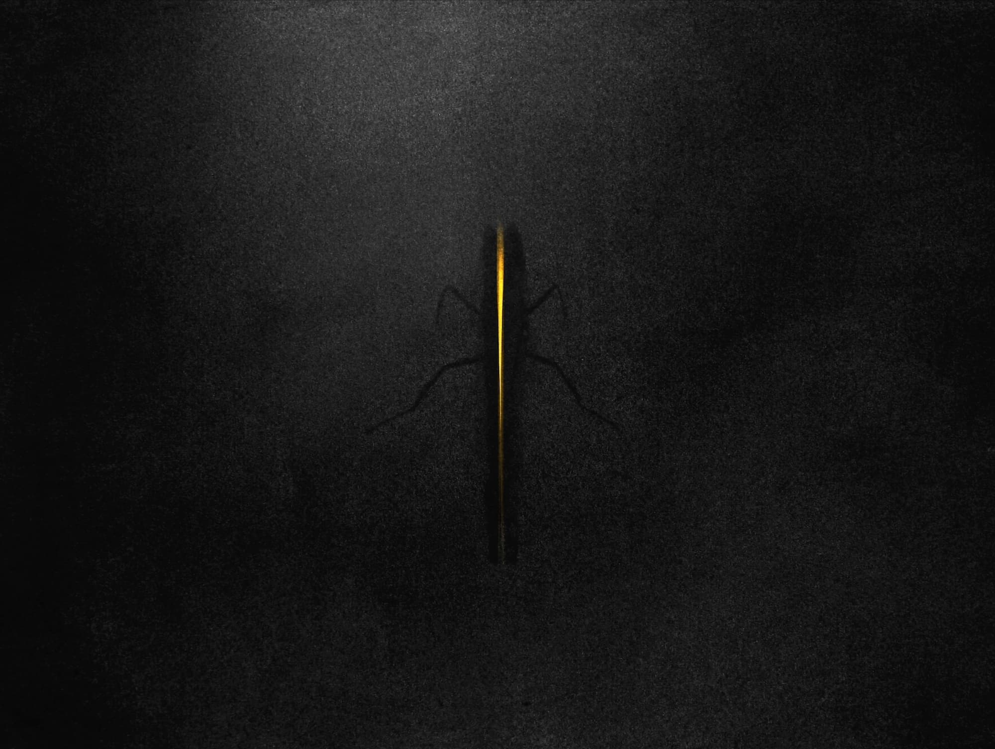 Na črnem ozadju stoji tanka, navpična zlata črta, ob kateri se rahlo vidi senca pajkovih nog. Slika je minimalistična in skrivnostna.