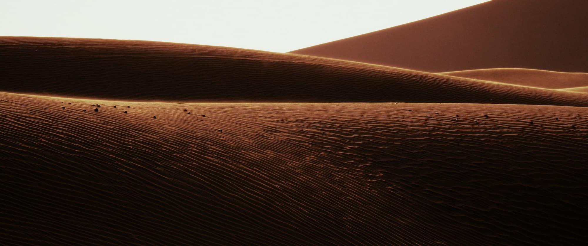 Peščene sipine se raztezajo po puščavi, svetloba in sence ustvarjajo vzorce na površini. Prizor je miren in zlat.