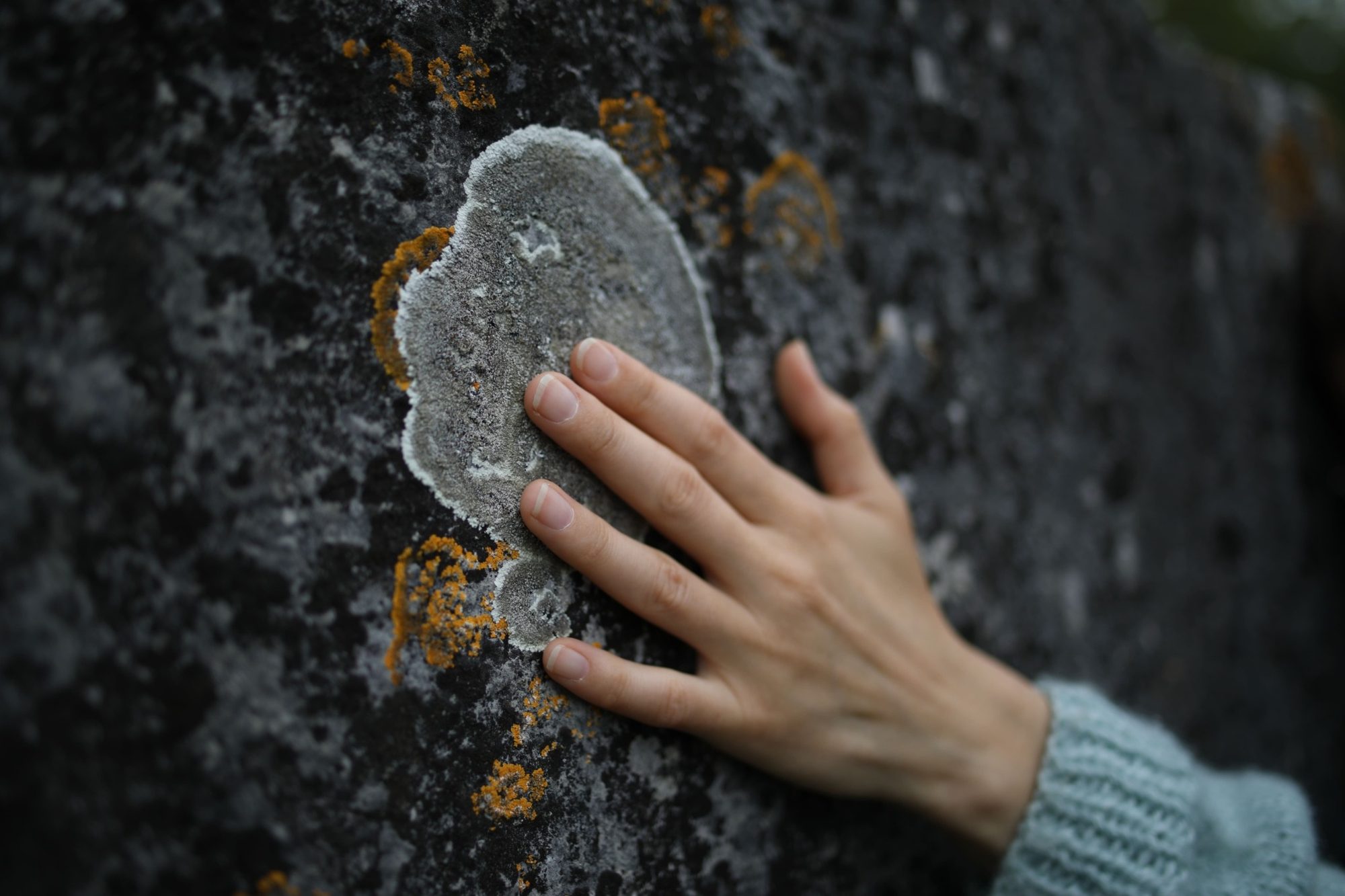 Roka se nežno dotika sivega lišaja na temni skali. Podrobnosti teksture poudarjajo stik človeka z naravo.